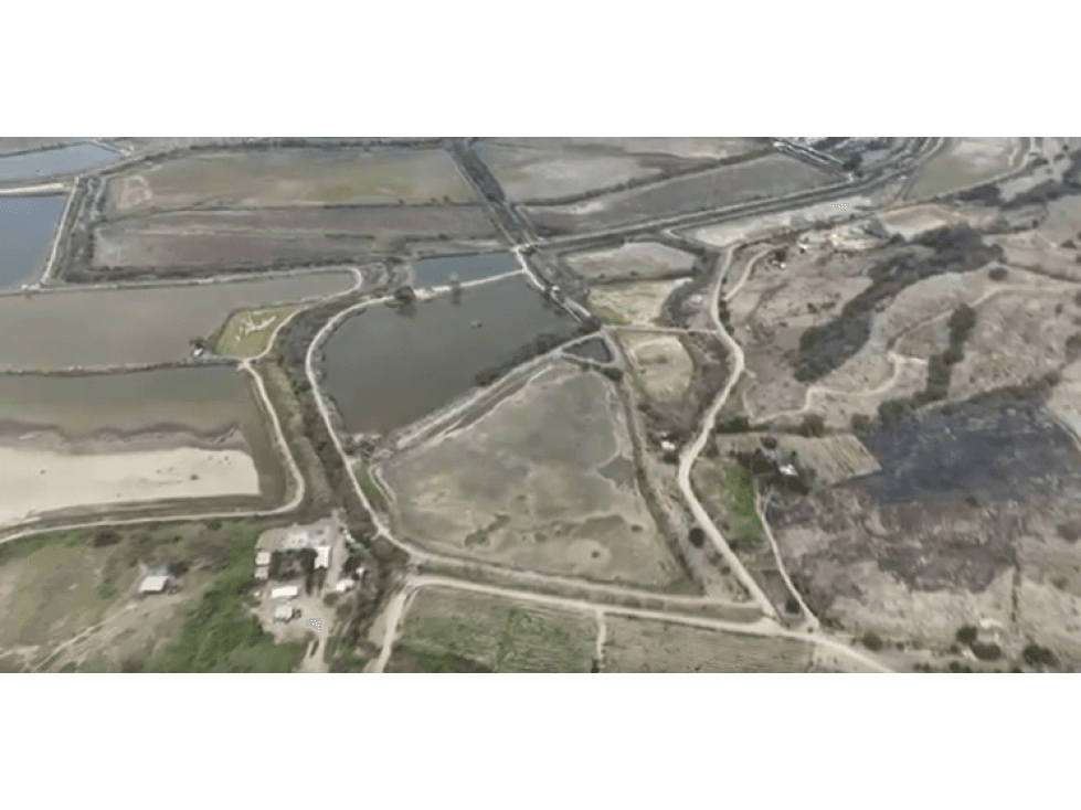 CAMARONERA EN VENTA 340 Ha, Manabí (Bahía) - 1