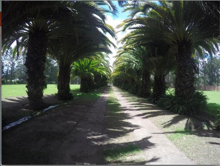 PUEMBO LOTES DE VENTA EN URBANIZACIÓN PRIVADA - 1