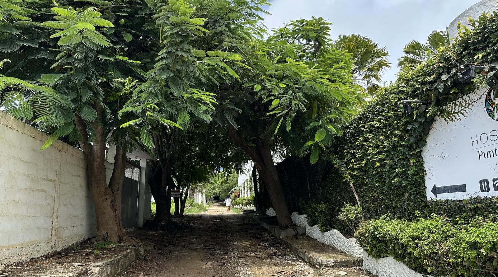 VENTA DE TERRENO EN PUNTA BLANCA CON ANTEPROYECTO - ENTRADA 7 OPORTUNIDAD - 1