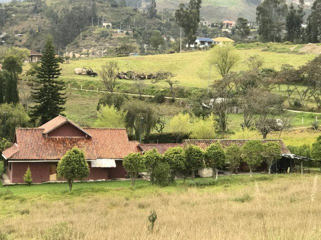 Excelente Finca en venta con 14.740m2T a 1km de Gualaceo - 1