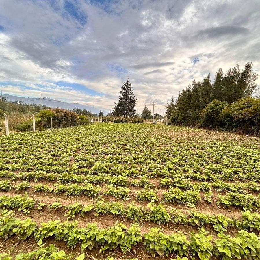 Venta Terreno 1.000 m² en Tababela – ideal casa o quinta – escritura - 1