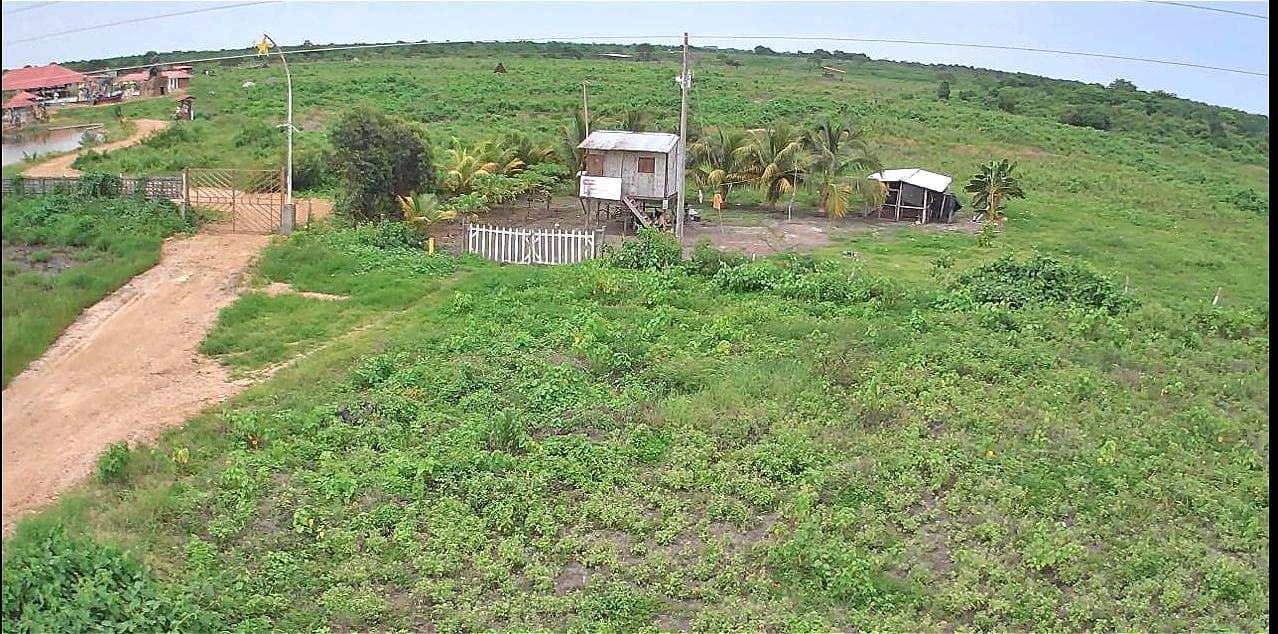 VENDO EXCELENTES TIERRAS VÍA A LA COSTA EN EL SECTOR EL MORRO CANTÓN GUAYAQUIL - 1