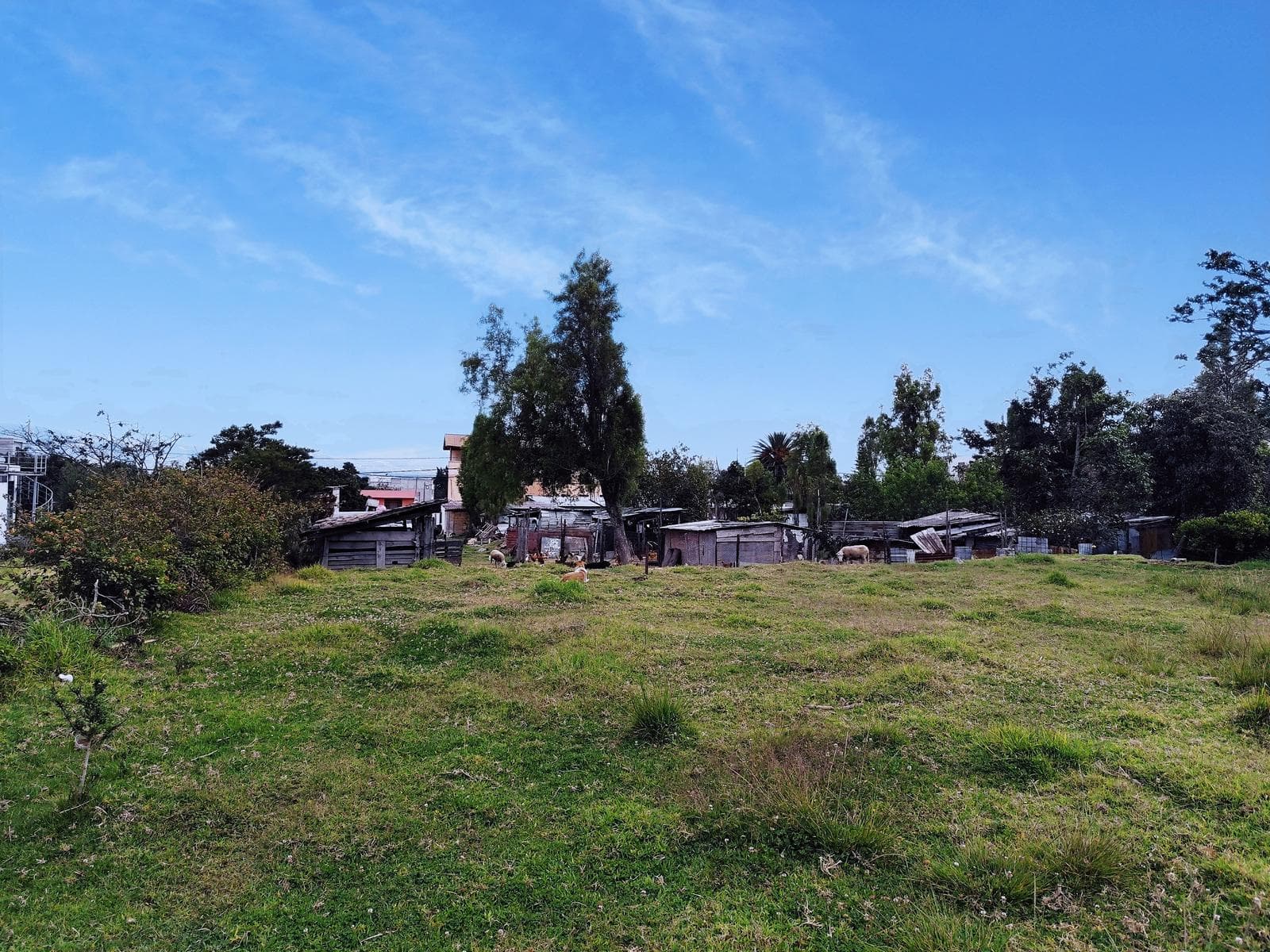 Rento Terreno 4.831 m2 Tumbaco Sector Tola Chica 3 - 1