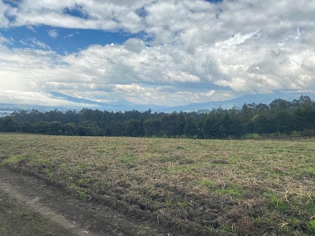 VENDO FINCA EN MACHACHI 32 HAS - 1
