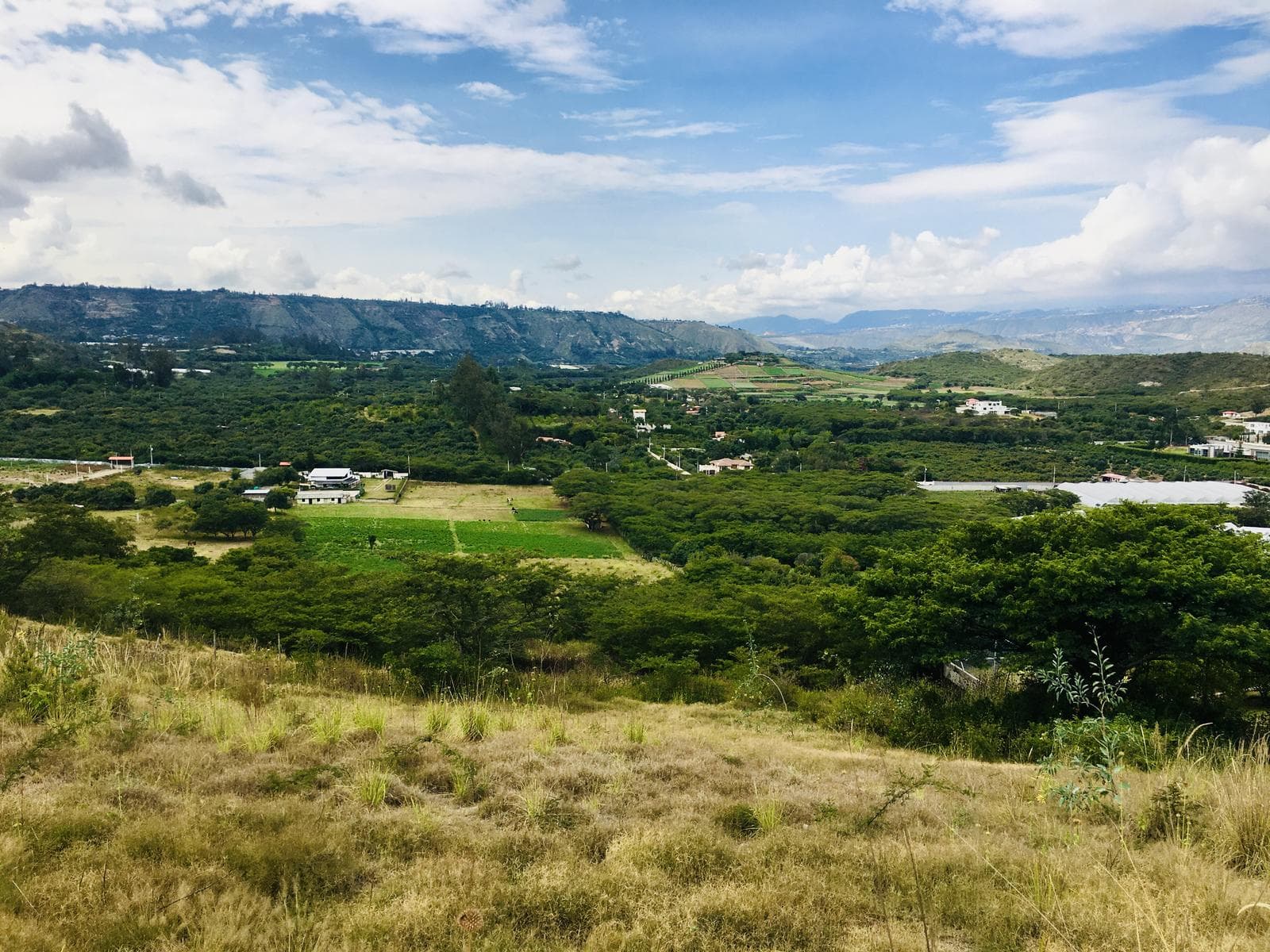 JAL Venta terreno GUAYLLABAMBA, 2.000m2 para casa con vista a las montañas - 1