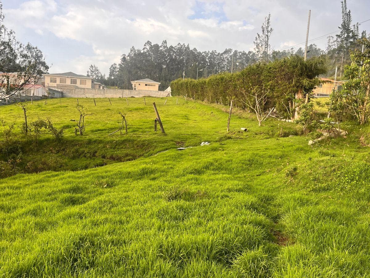 Terreno de 3135 m² en venta en Pifo ideal para Proyecto Inmobiliario - 1