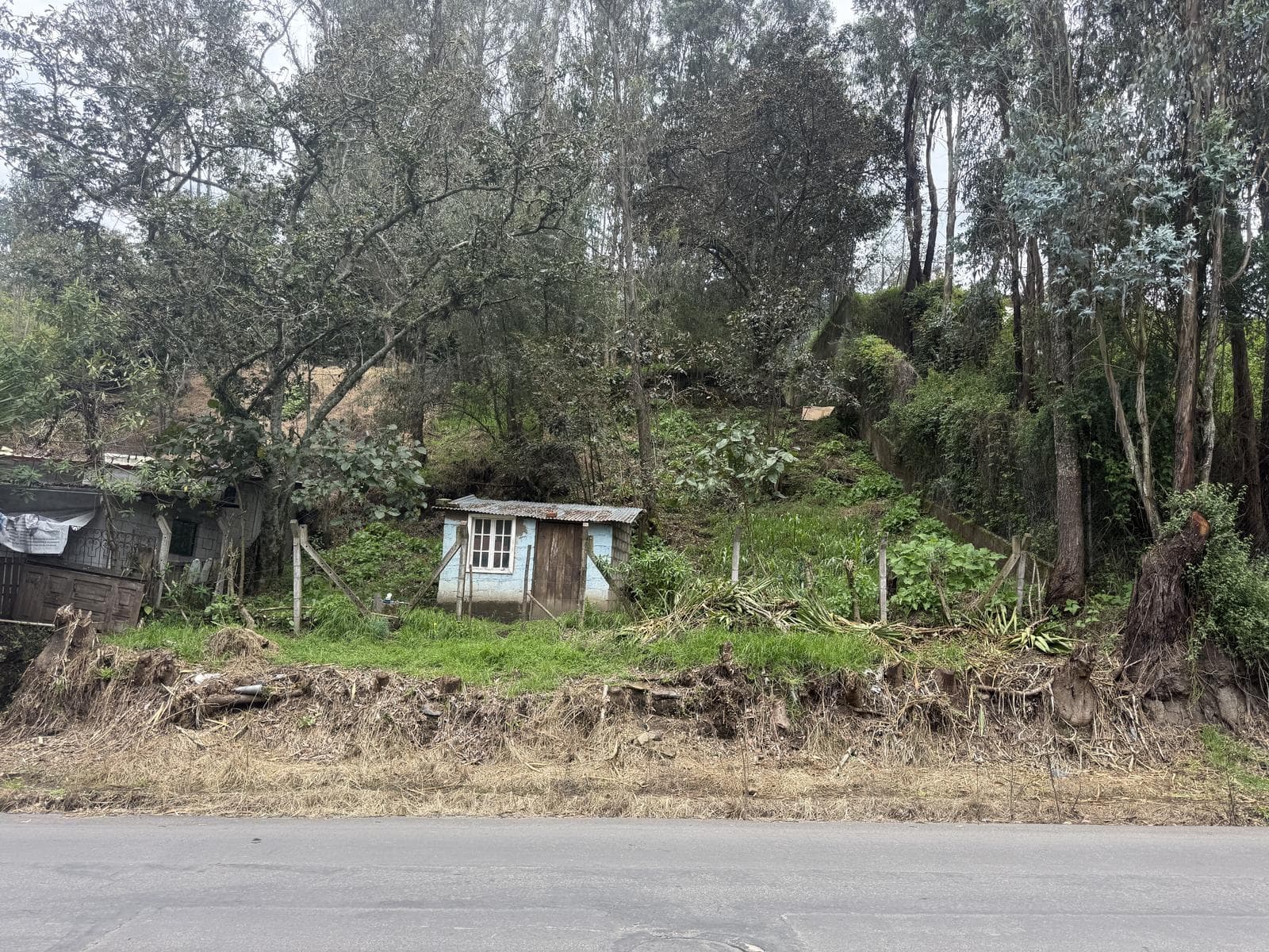 TerSSE VENDE AMPLIO TERRENO DE 650 m²- Estratégicamente ubicado en la AV. Ilalóreno - 1