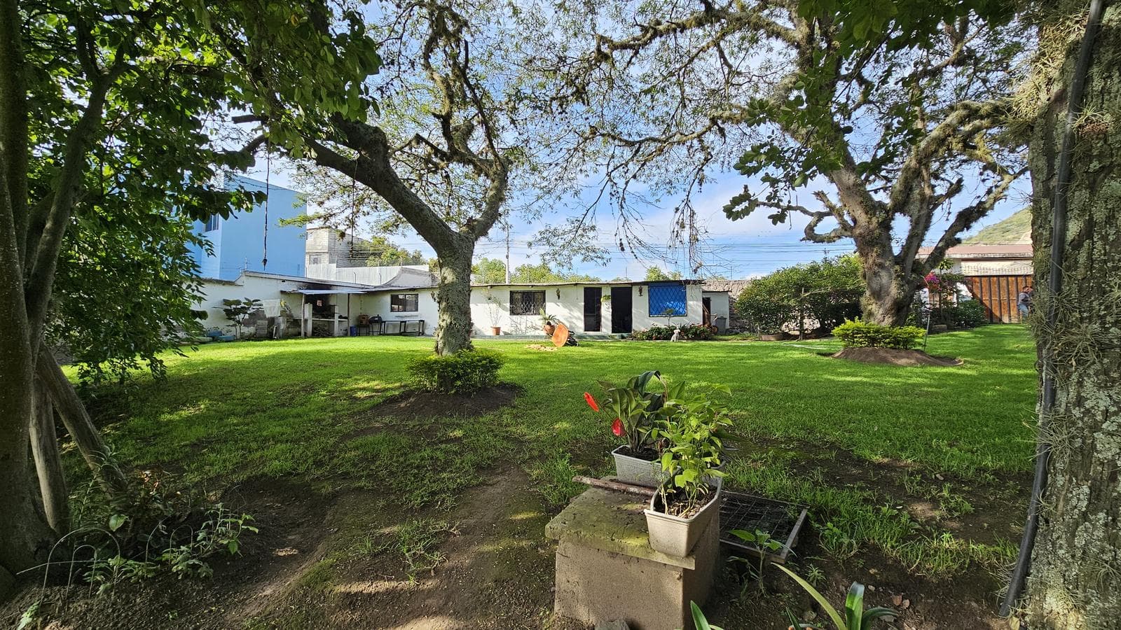 Venta Terreno con árboles frutales en Guayllabamba un solo dueño, ideal como Inversión - 1