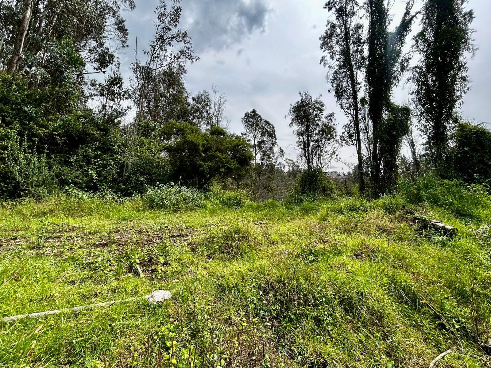 Terreno en Los Chillos - 1