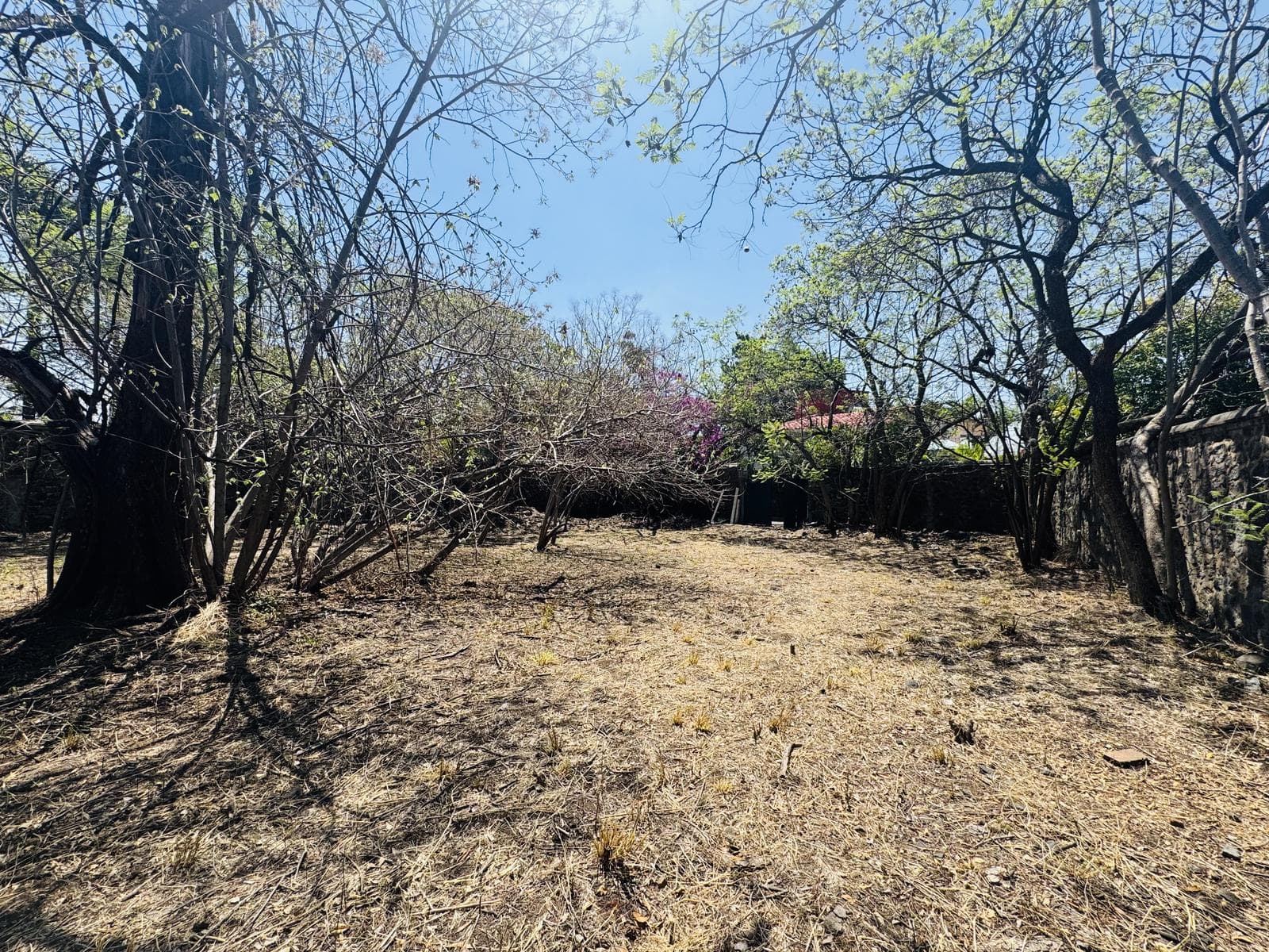 Terreno en Vista Hermosa - 1