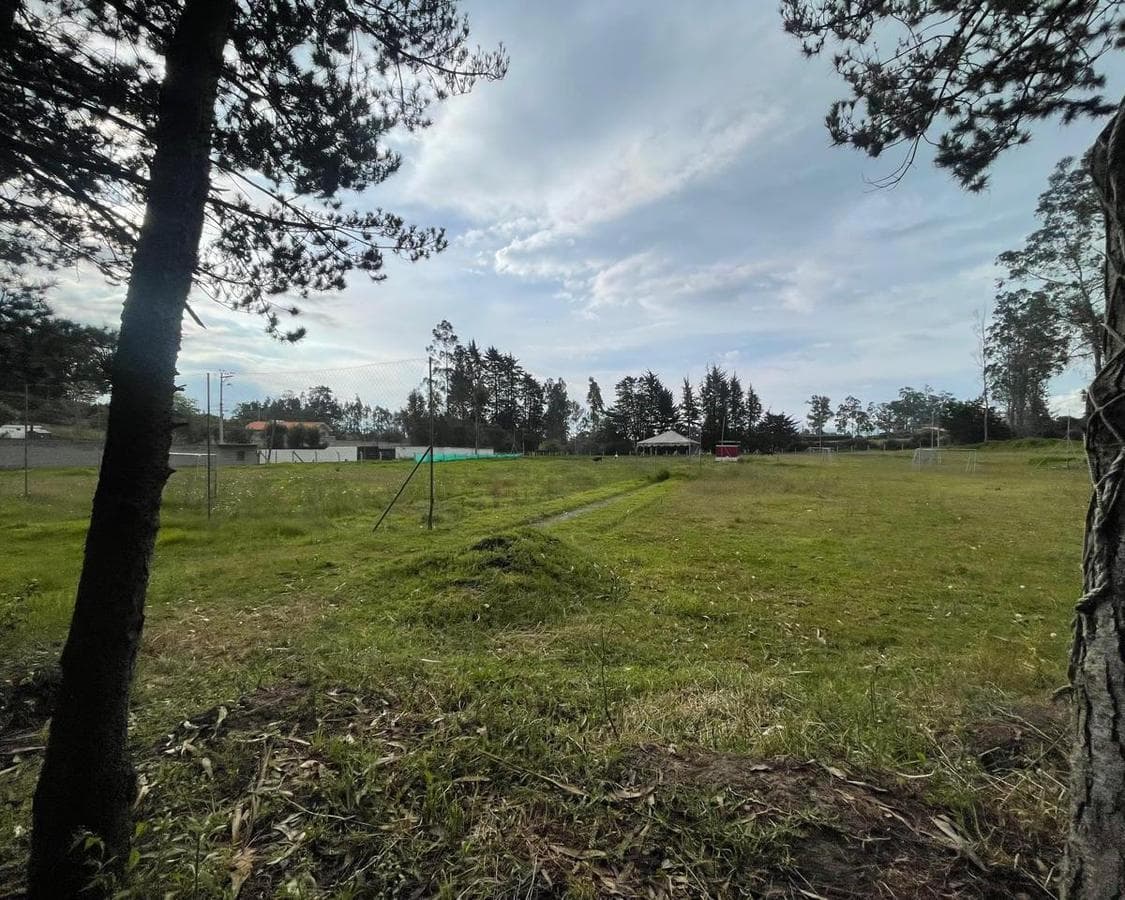 PUEMBO GRAN OPORTUNIDAD DE VENTA - TERRENO CON EXCELENTE UBICACION EN PUEMBO - $ 66 x m2 - *mm - 1