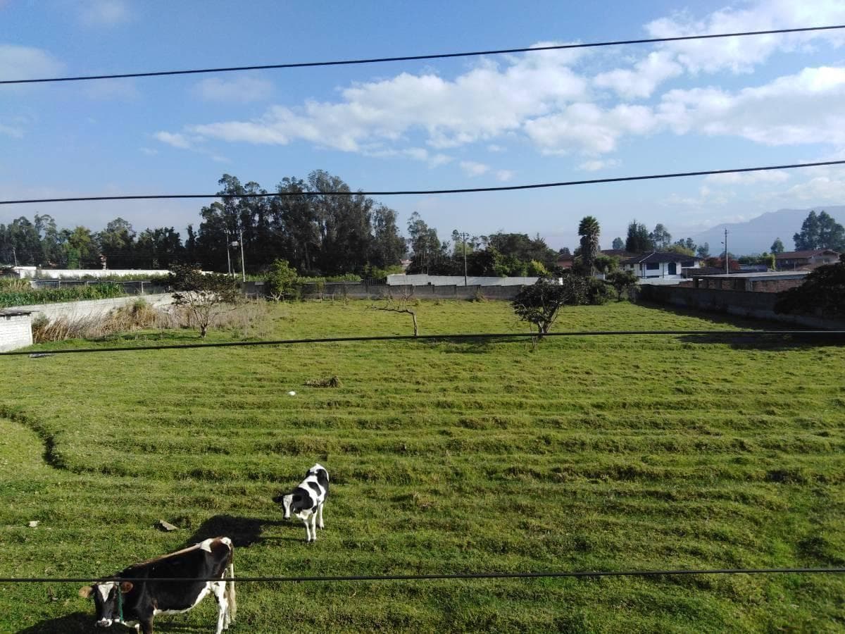 VENTA TERRENO CONOCOTO - 1