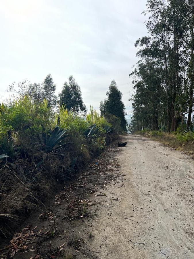 Oportunidad Terreno 7839 m2 en $70.000 Malchingui - 1
