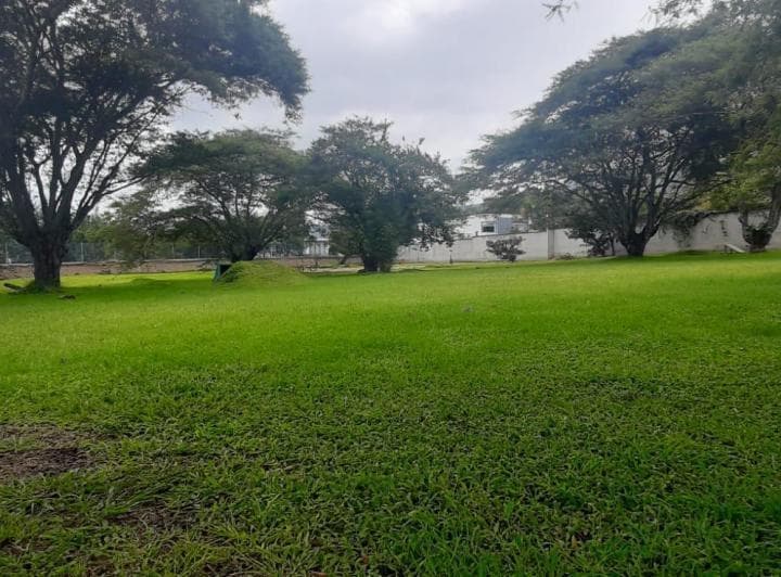 VENTA TERRENO EN TUMBACO SECTOR LA VIÑA Inf. CBR Carla del Pino - 1