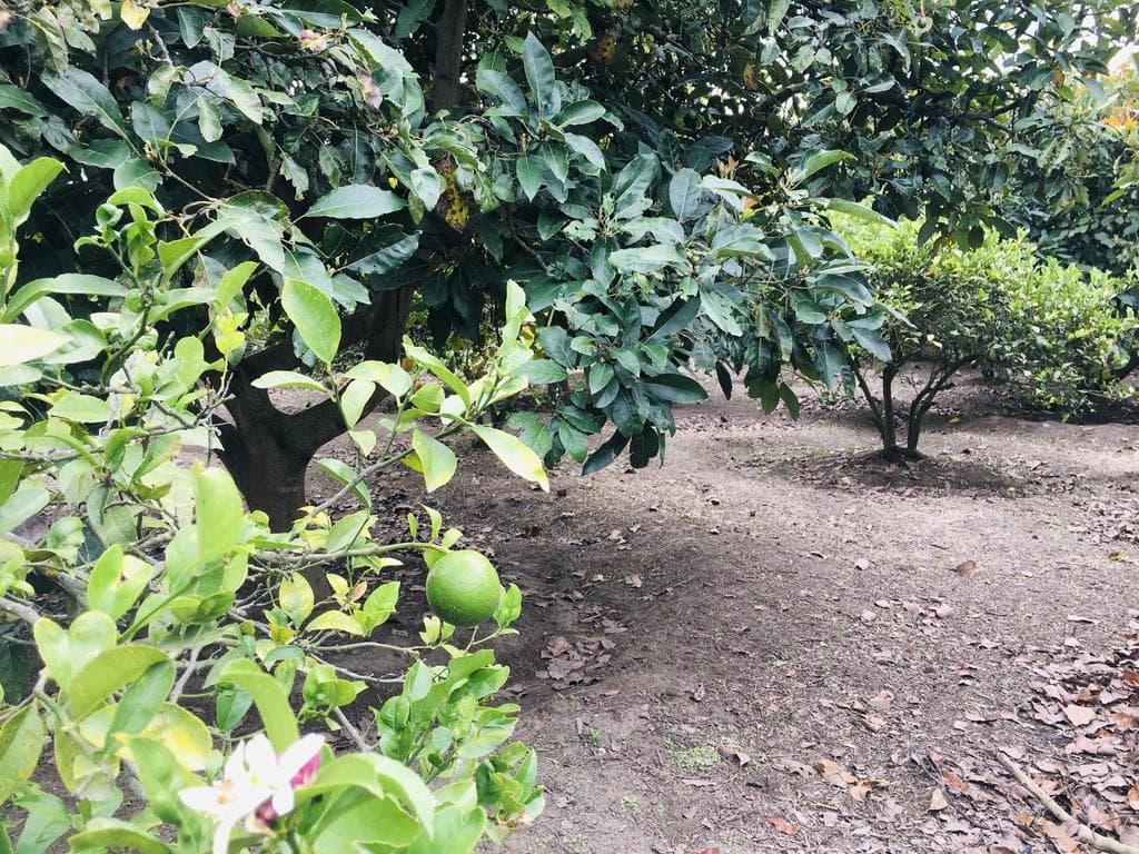 JAL Venta terreno Guayllabamba plano 1.000m2 barrio Cebauco - 1