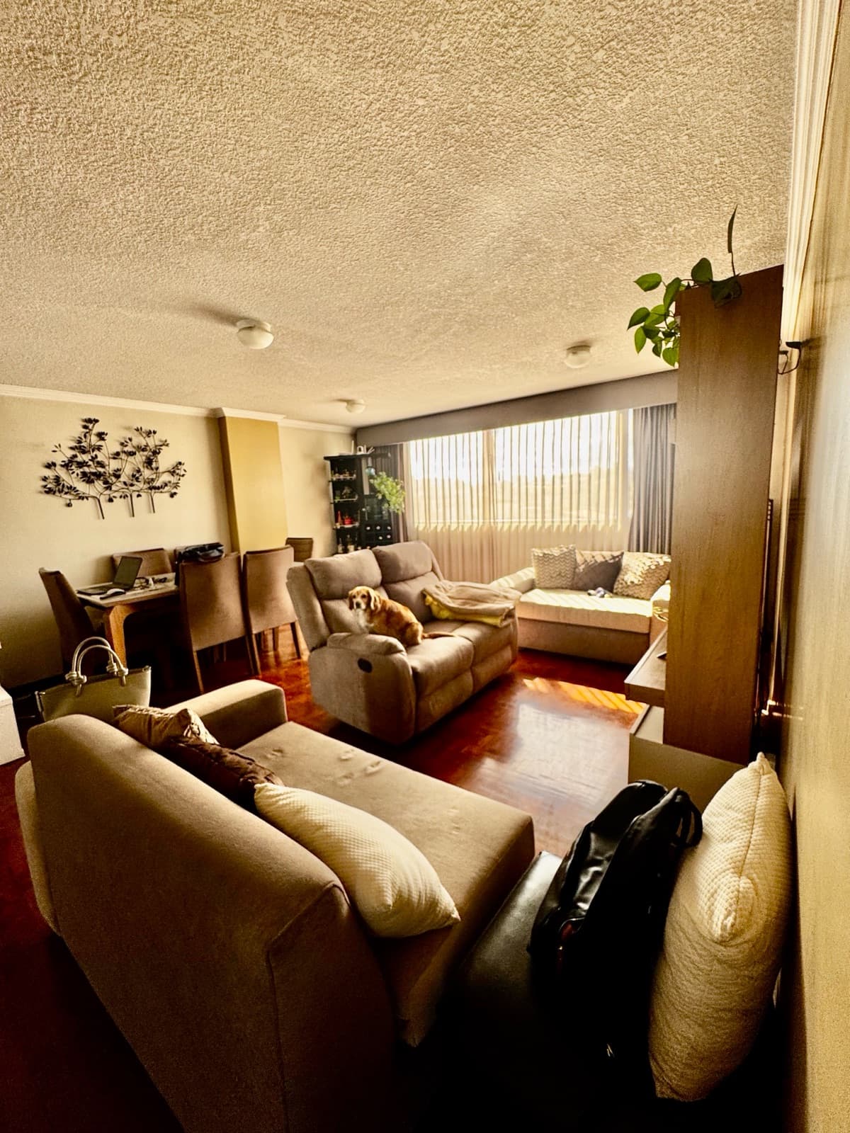 Departamento de Venta sector Eloy Alfaro y Bugambillas - 1