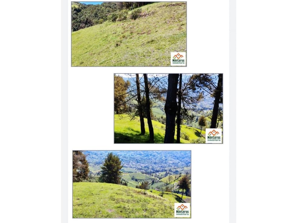 TERRENO PISCURCO "SAN MIGUEL DE BOLIVAR" - 1