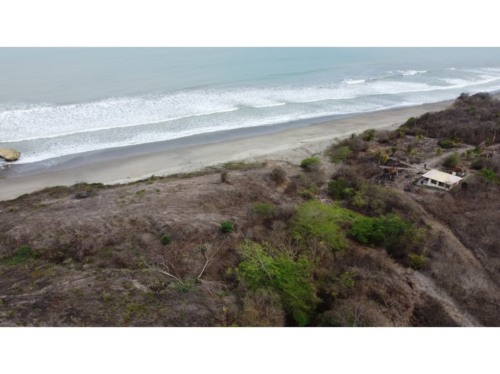 Venta de terreno frente al mar en Jama, Manabí! - 1
