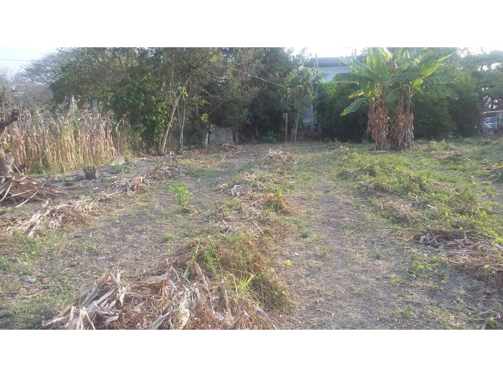 VENDO TERRENO 426 M2, TONSUPA, ESMERALDAS, ECUADOR - 1