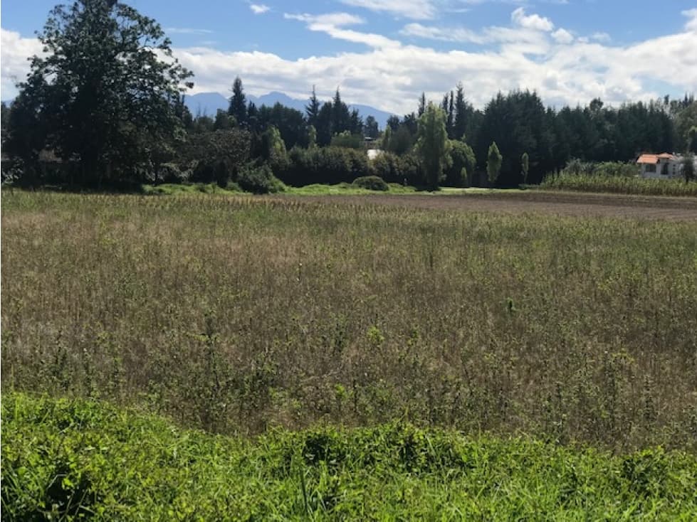 VENTA TERRENO 4.599 M2 EN PUEMBO CERCA CLUB ARRAYANES - 1