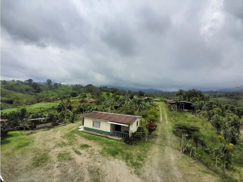 Venta de Hacienda en el Sector Santo Domingo, a 16 km de la Ciudad. - 1