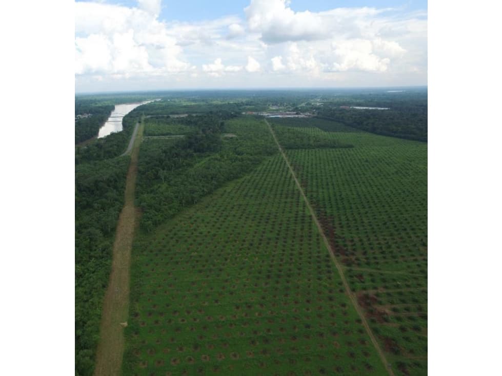 Hacienda Venta El Coca 410 hectáreas - 1