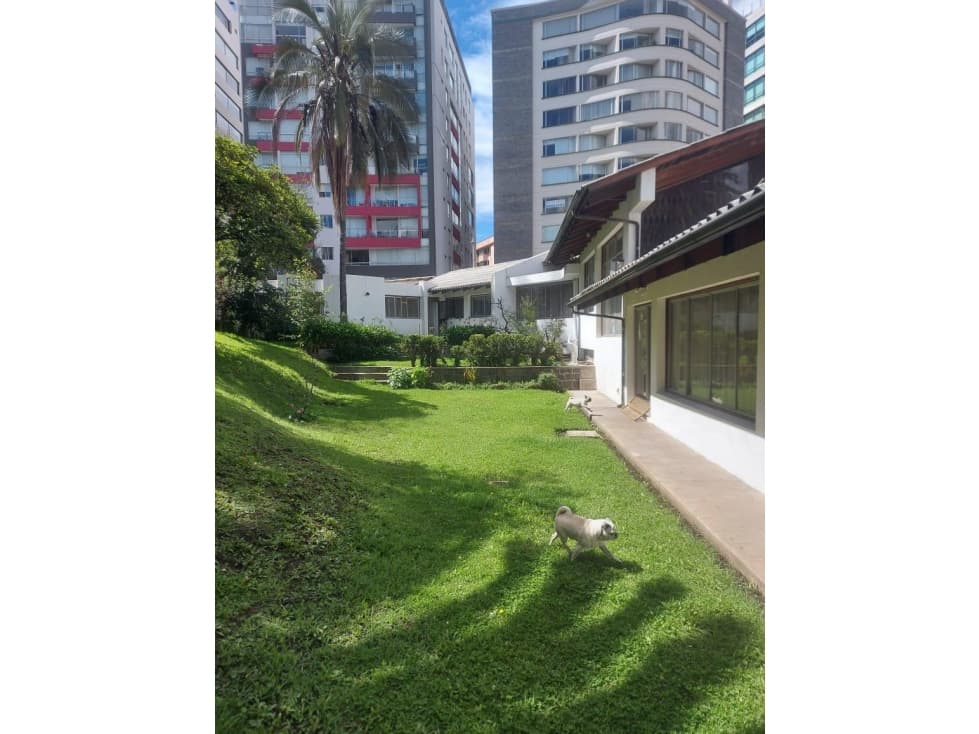 Terreno VENTA 1007 m2 Quito sector Batán Alto - 1
