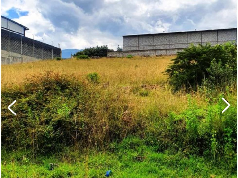 Terreno VENTA Pifo 1000m2 a 2 cuadras de vía principal - 1