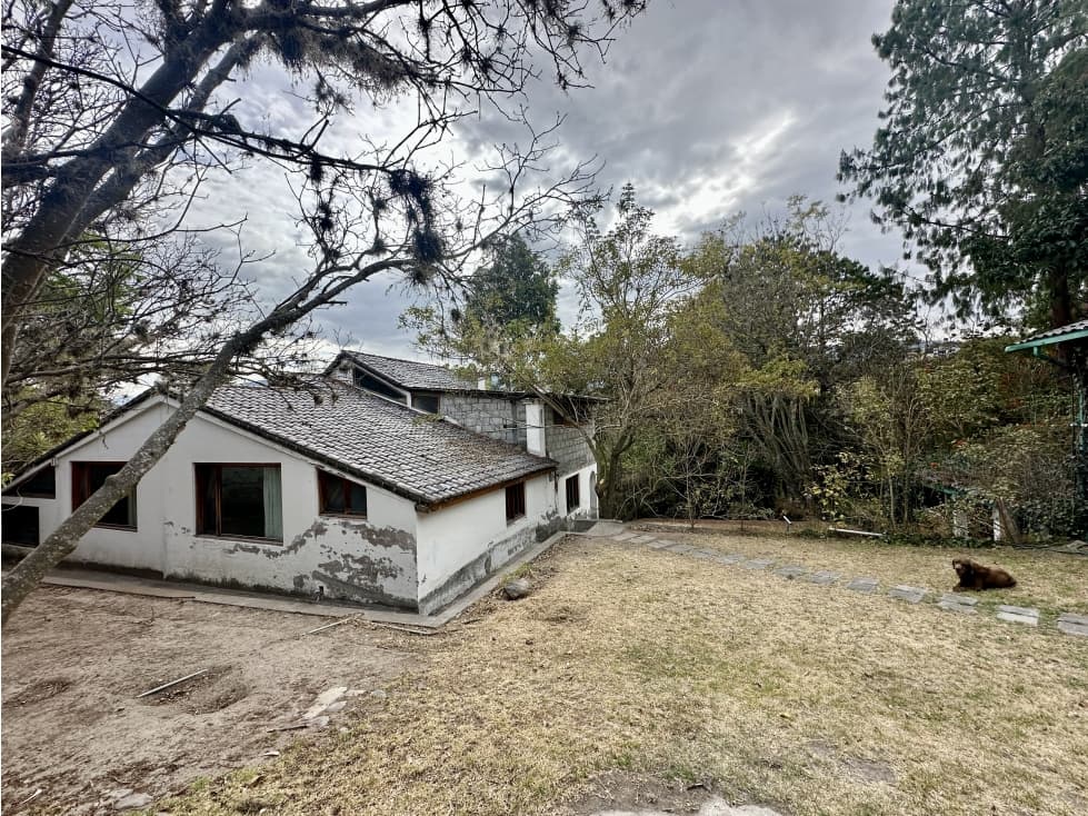 Propiedad VENTA 1356m2 casa para remodelar o derrocar urb La Viña - 1