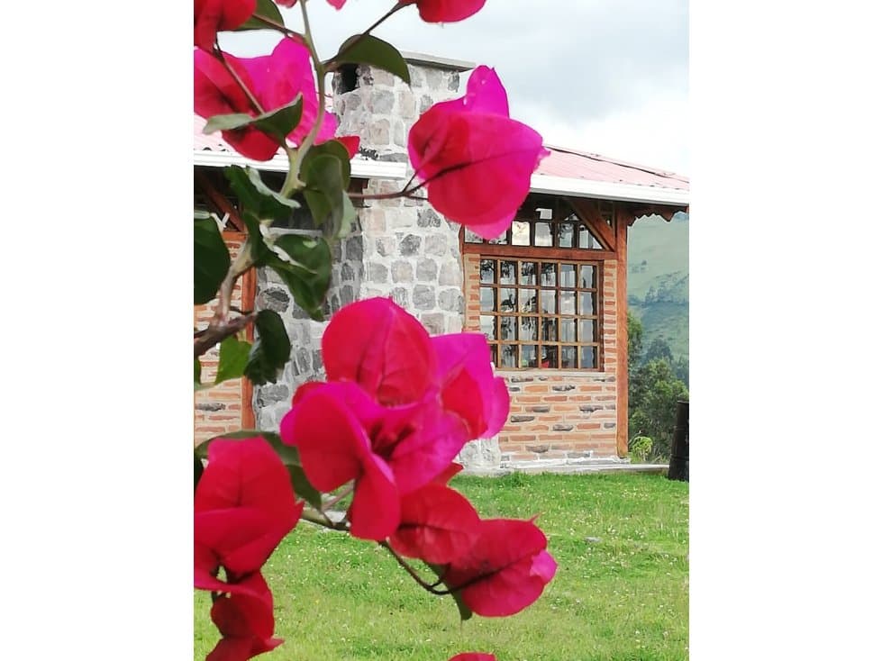 Quinta / Terreno venta Yaruqui con hermosa vista 1 hectárea - 1