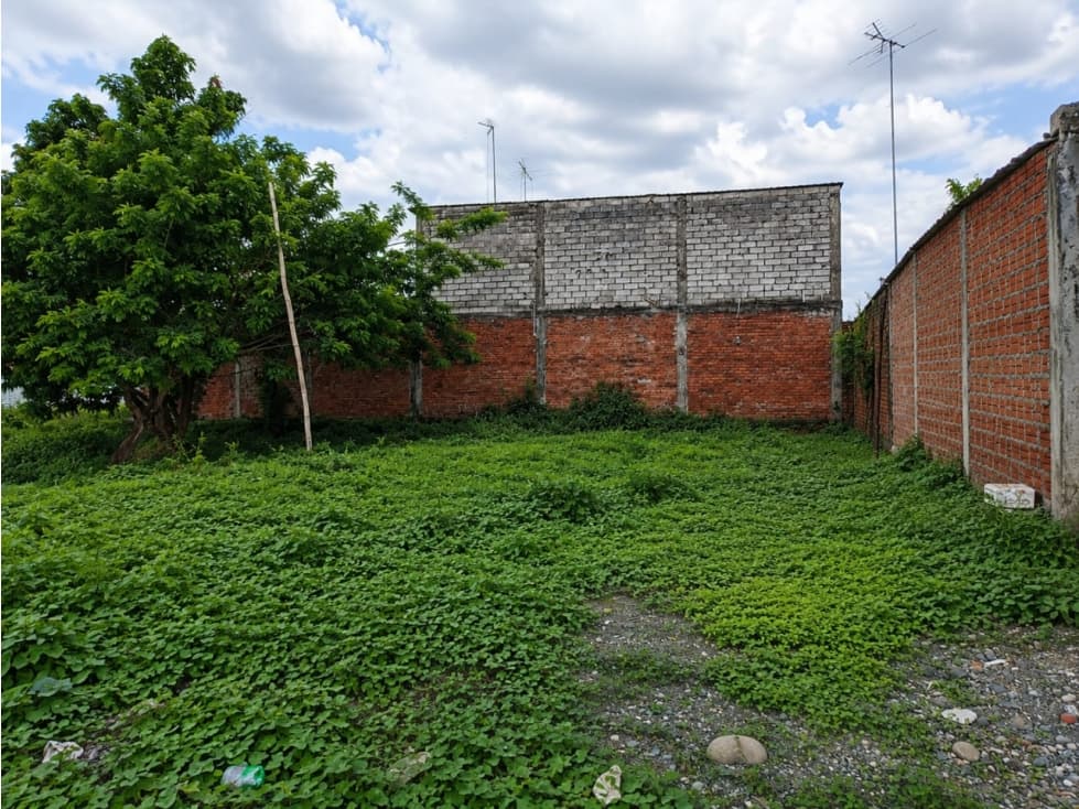 Milagro - 1