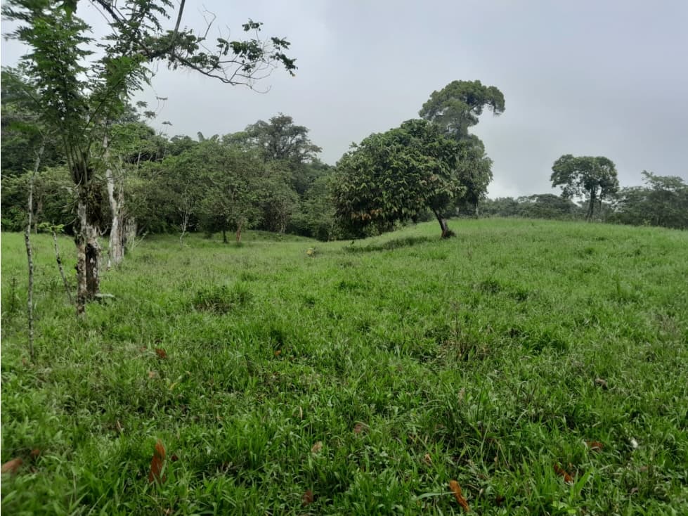 Lago Agrio Araza Terreno en Venta, 1100m2 - 1