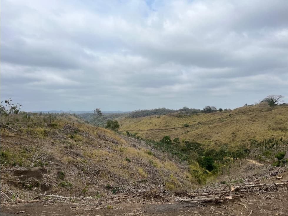 Vendo terreno agroforestal en el sector de Santa Elena - 1