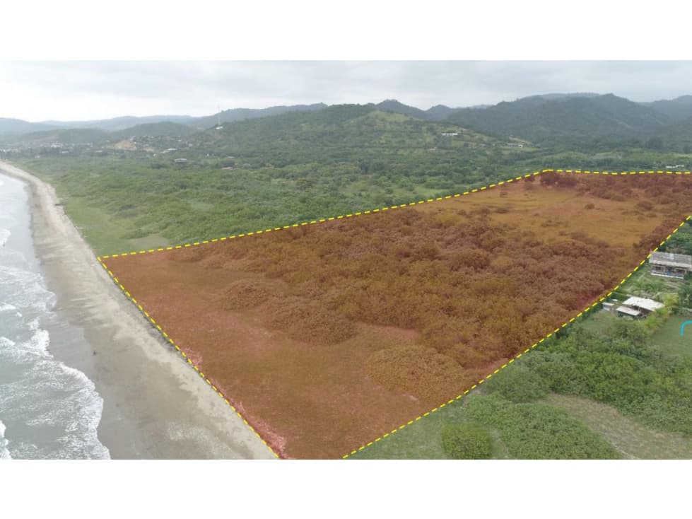Vendo macrolote de 20 ha en sector de Ayampe Ecuador - 1