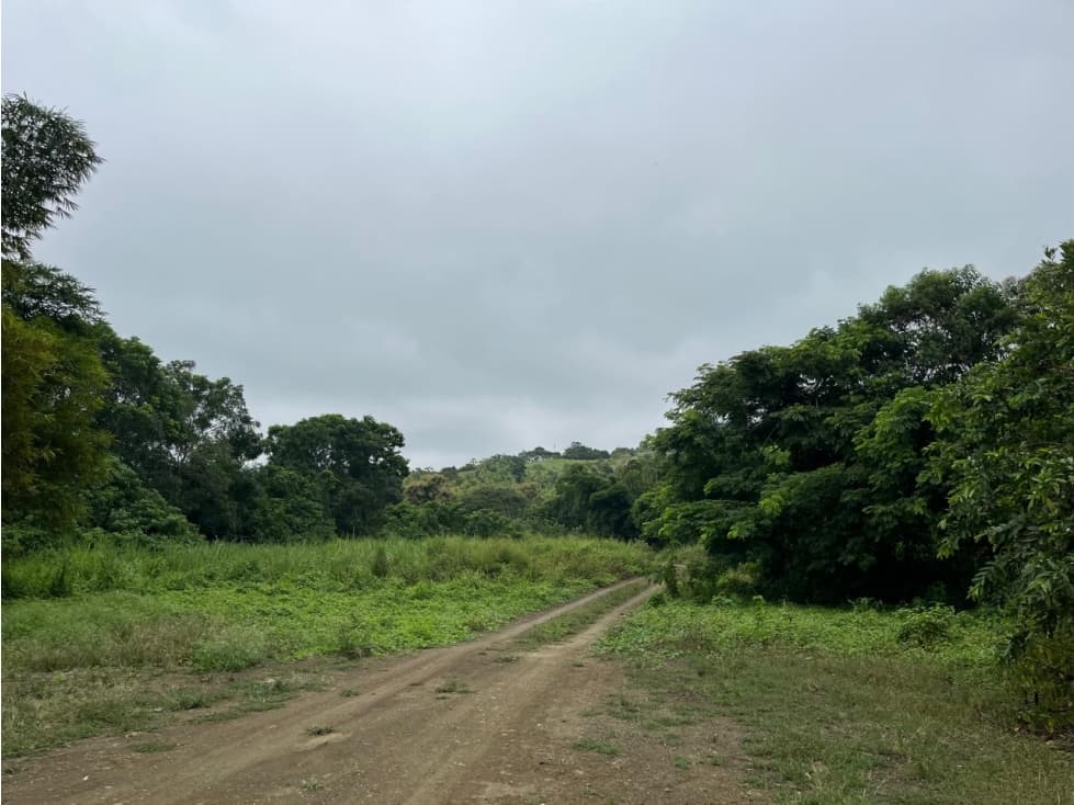 Vendo lotizacion ecologica en Ayampe Ecuador - 1