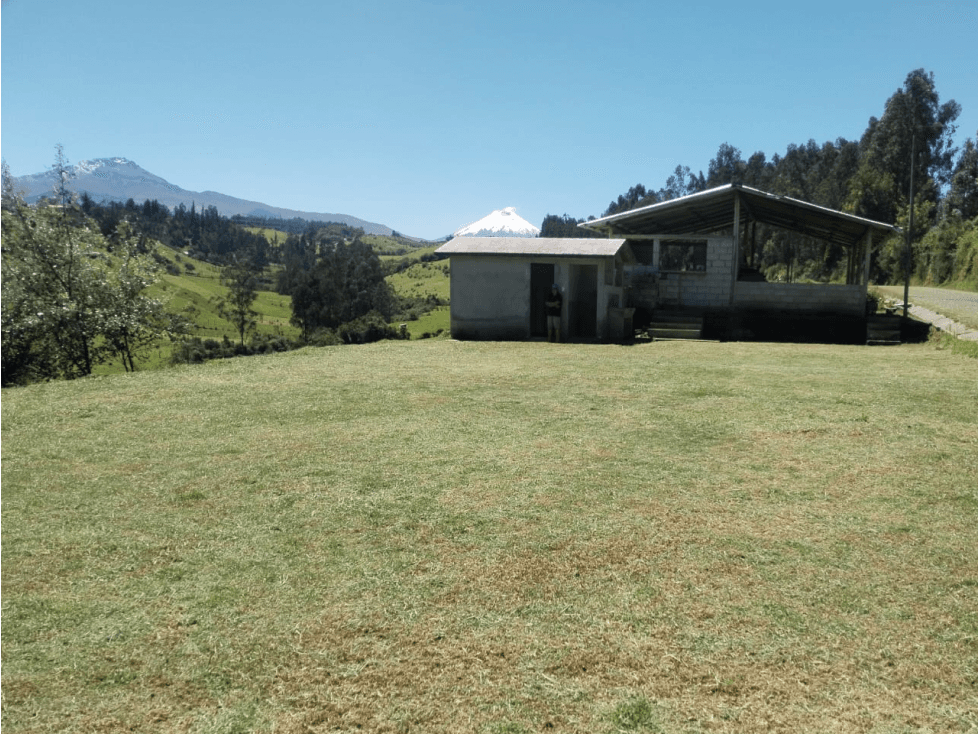 FINCA AGRICOLA GANADERA 14.260m2 SANGOLQUI - 1