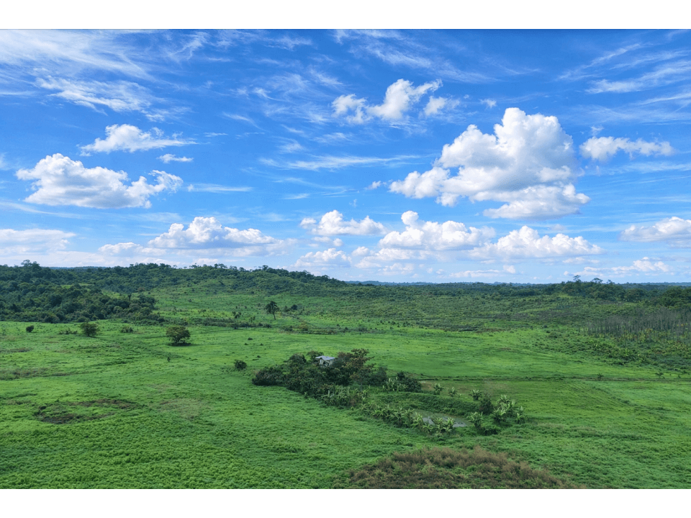 FINCA EN VENTA, 70 Ha - Pedro Carbo, Prov. Guayas - 1