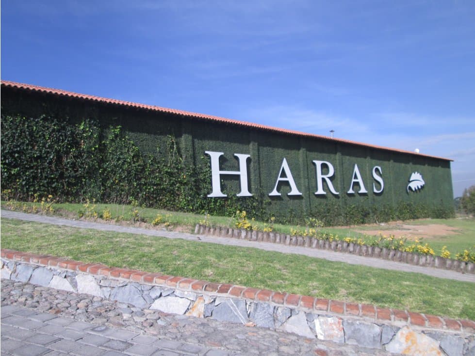 LOTE RESIDENCIAL EN VENTA PUEBLA - 1