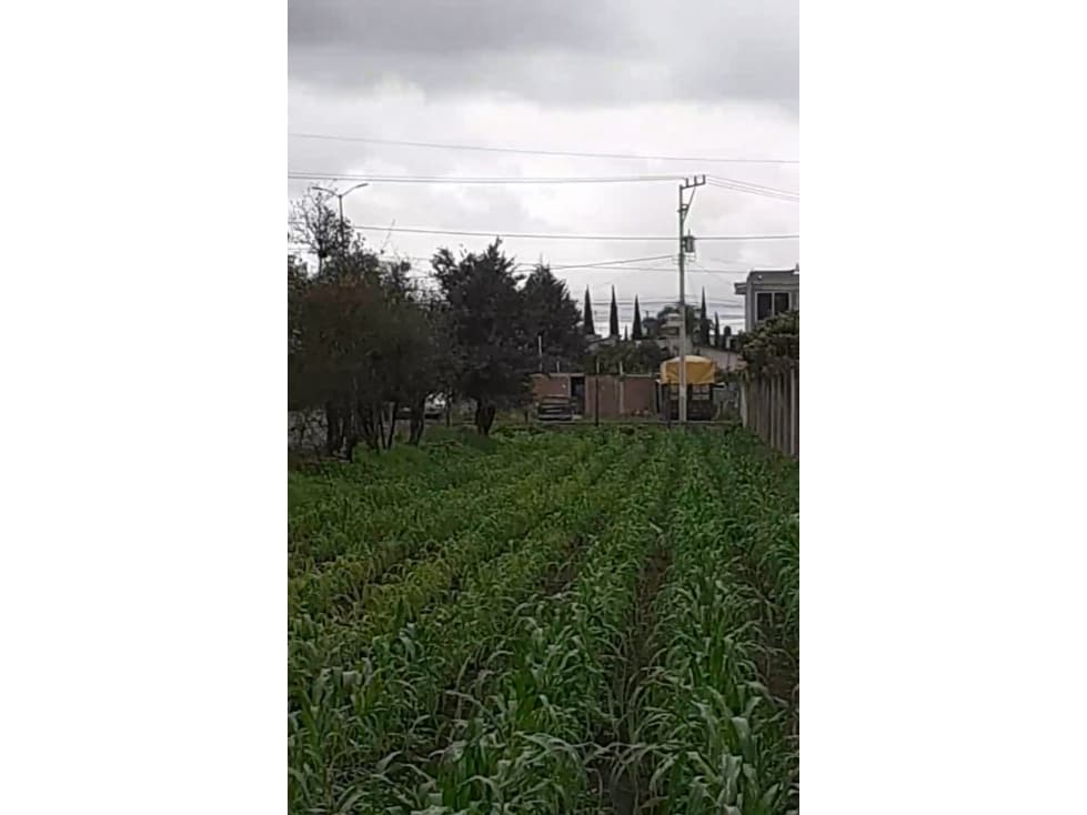 SE RENTA TERRENO EN GUARDIAS XICOTZINGO TLAXCALA - 1
