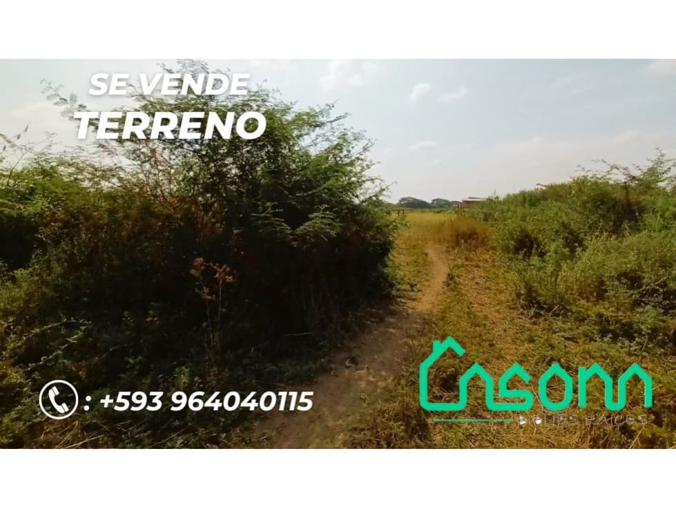 Se vende Terreno, Las Tolas, Babahoyo, Los Ríos, Ecuador - 1