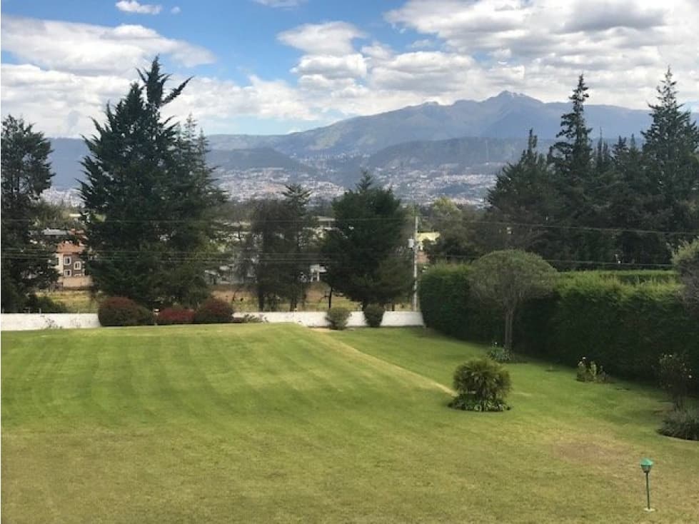 QUINTA EN VENTA PUEMBO 10.400 M2 JARDINES RESERVORIO EXCELENTE SECTOR - 1