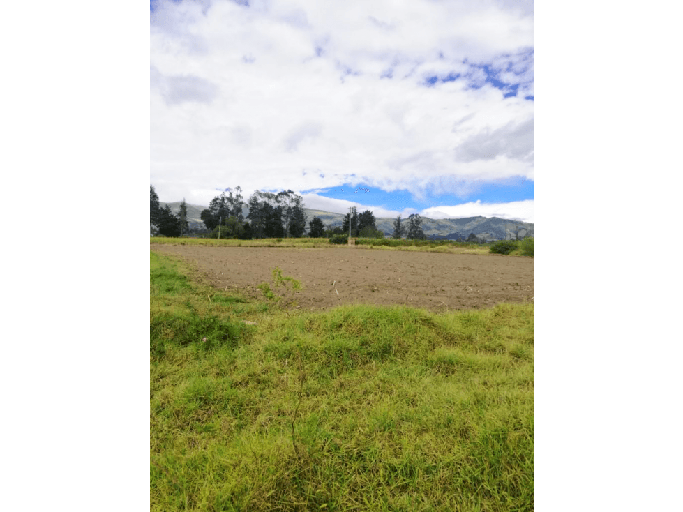 Venta Hacienda Checa, 8,4 Hectáreas $1 900,000 - 1