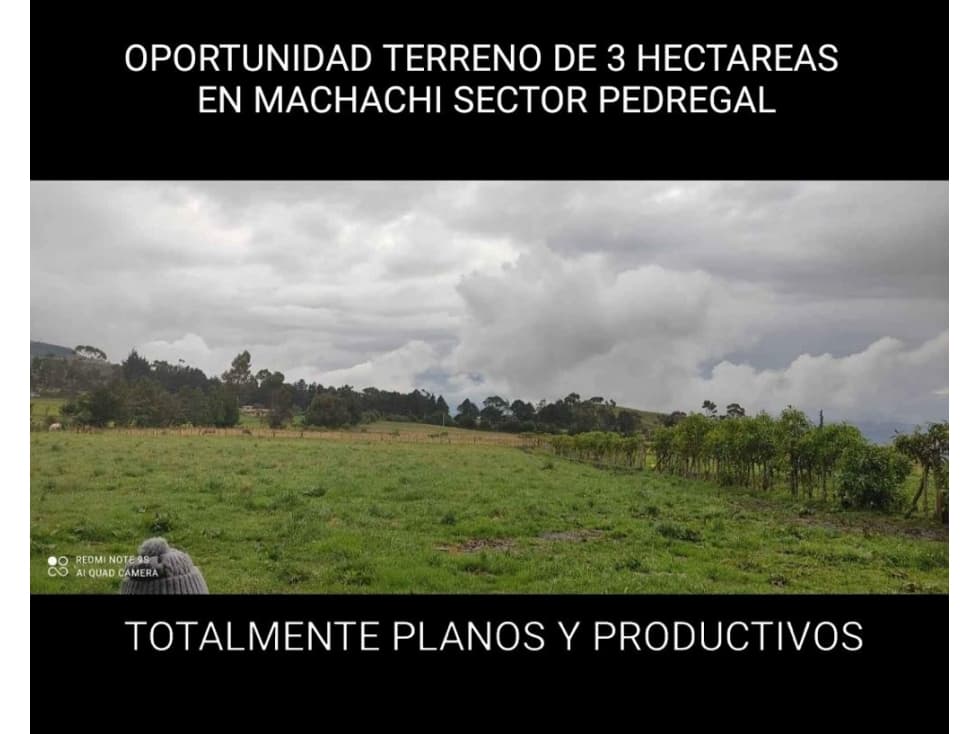 Venta 3 Hectáreas Machachi $250,000 - 1