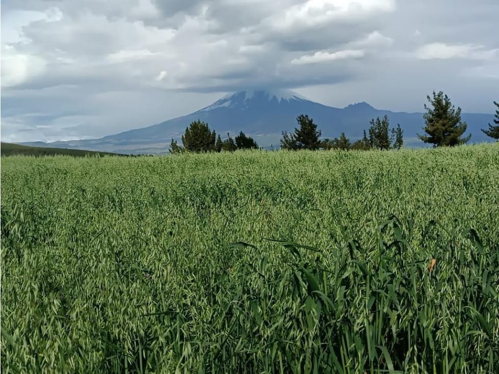 Venta Hermosa Hacienda Ganadera Latacunga 60ha, $1 650.000 - 1