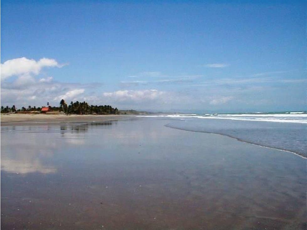 Venta 3 hectáreas, Cojimíes $750,000 - 1