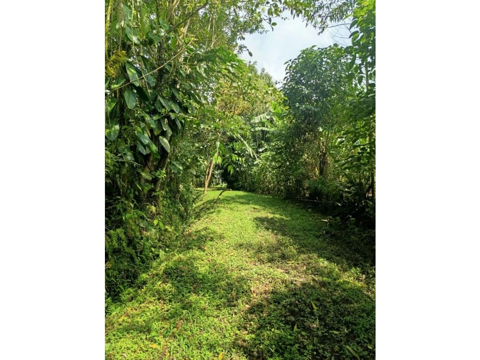 Venta terreno 4 hectáreas a 16 usd el m2, Mindo - 1
