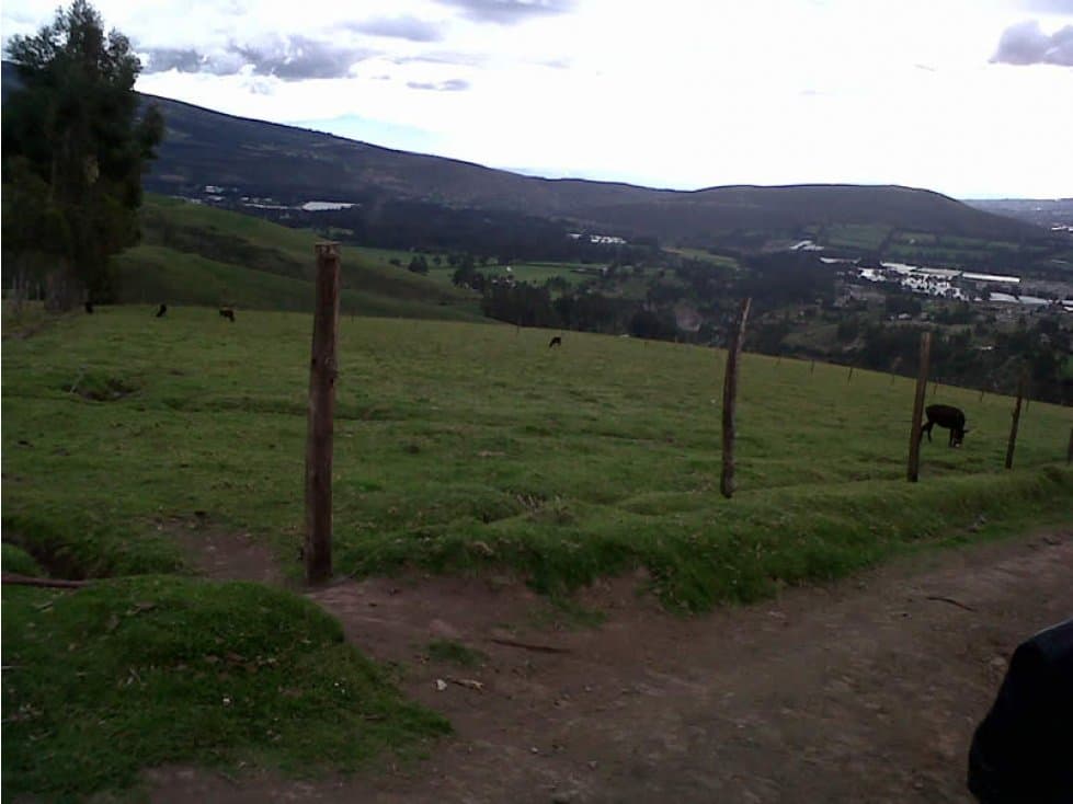 FINCA DE 40 HAS PARA GANADERÍA O AGRICULTURA DE ROSAS EN CAYAMBE - 1