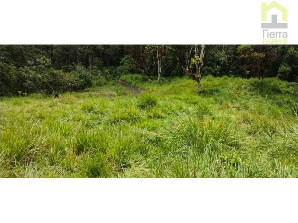 Se vende un paraíso de 70 hectáreas en el sector Magnolia! - 1