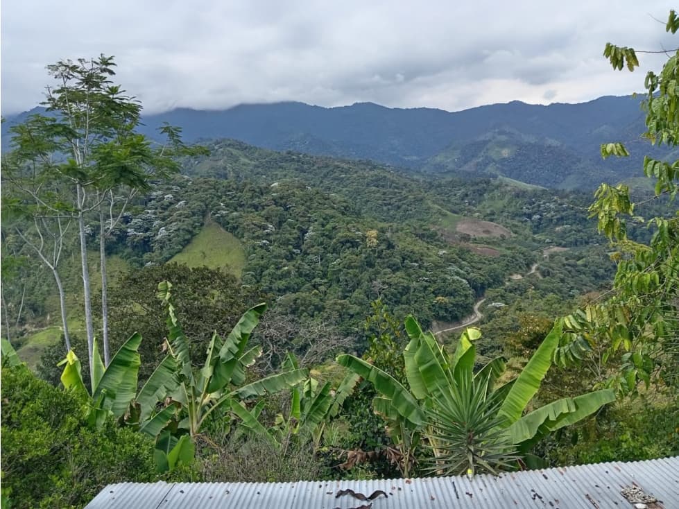 TERRENO EN VENTA EN LA ZONA DE INTAG - 1