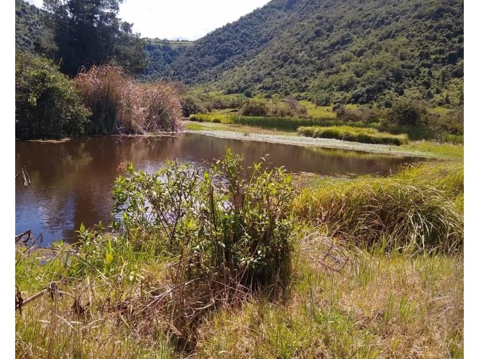 HACIENDA EN VENTA EN OTAVALO - 1